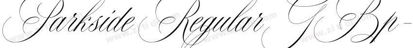 Parkside Regular GBp字体转换 Parkside Regular GBp字体转换